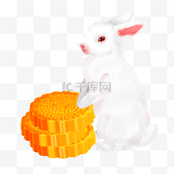 月饼图片_白色的兔子趴在月饼上