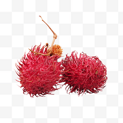 红毛丹热带水果