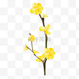 迎春花水彩图片_春天迎春花树枝花朵光感