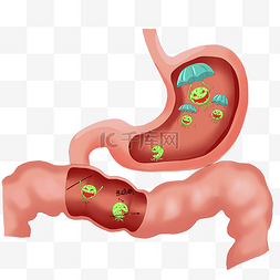 排毒免费图片_肠道健康肠道排毒