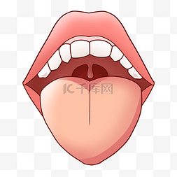 嘴巴一条线图片_人体嘴巴舌头器官