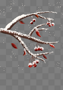 冬季挂霜果子树