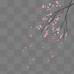 随风飘落的花瓣图片_随风飘落的粉红色桃花树枝