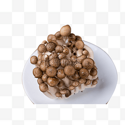 蘑菇菌图片_生鲜食材蟹味菇果蔬美食