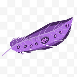紫色羽毛插画