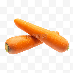 胡萝卜和土图片_两根胡萝卜蔬菜