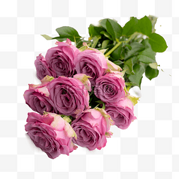 一束玫瑰图片_一把紫色玫瑰花一束花