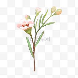粉色的手绘花朵图片_水彩风粉色的花
