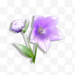清新空气图片_紫色的五角形花朵