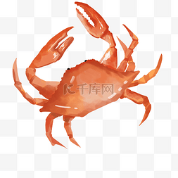 螃蟹图片_海鲜螃蟹梭子蟹
