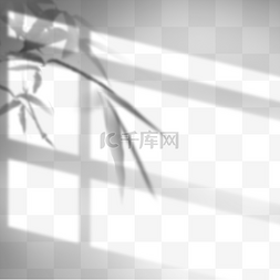 树枝树叶图片_创意手绘阳光照射竹子投影