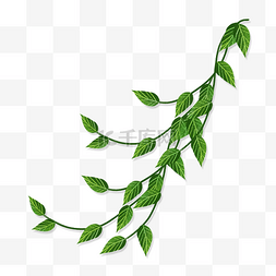 绿色藤蔓缠绕图片_绿色小清新藤蔓png素材