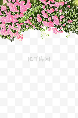 小清新玫瑰图片_小清新夏季蔷薇树叶装饰边框