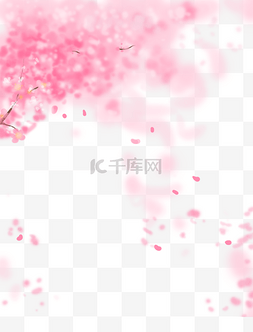 樱花雨图片_粉色的樱花雨