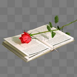 书翻开的书英文书籍玫瑰