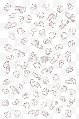 几颗坚果图片_手绘线描坚果底纹纹理