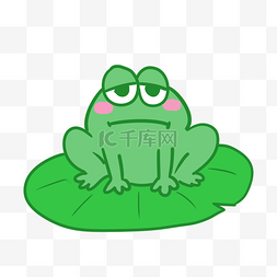 青蛙叶子图片_绿色青蛙动物