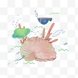 海洋海底鹦鹉螺珊瑚装饰贝壳PNG