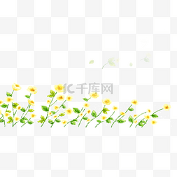 春天图片_春天黄色花朵下载