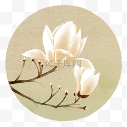 植物底纹插画图片_白玉兰复古黄底纹中国风花卉古风