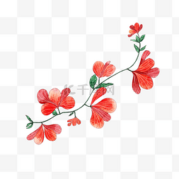 红色藤蔓图片_水彩花朵藤蔓