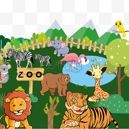 zoo狮子老虎丹顶鹤动物