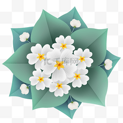 折纸风立体白花
