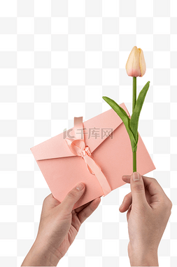 花卉信封图片_郁金香和信封