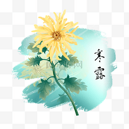 插画风菊花图片_中国风二十四节气寒露