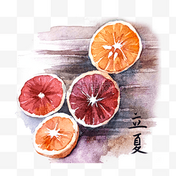 西柚橙子图片_立夏水彩西柚装饰图
