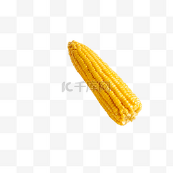 农副产品棚拍玉米