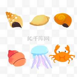 水母图片_海螺贝壳螃蟹水母