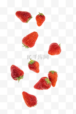 飞起弹起草莓