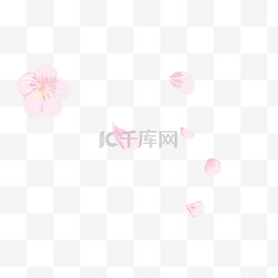 漂浮花瓣樱花图片_卡通漂浮樱花矢量贴图下载