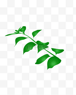 植物卡通花纹图片_矢量水彩植物花草