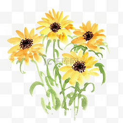 黄色的花图片_水墨画盛开的向阳花夏天