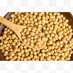 杂粮静物黄豆