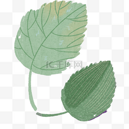 植物卡通花纹图片_绿叶自然枝叶植物