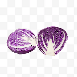 紫色紫包菜食材