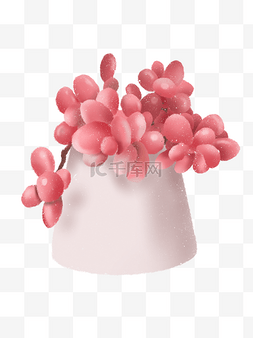 多肉手绘图片_卡通多肉盆栽PNG