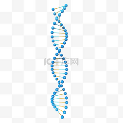 打拳序列图片_dna序列