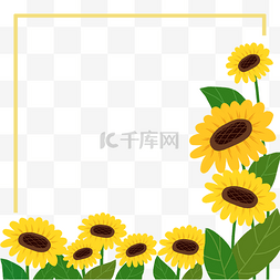 黄树叶图片_卡通向日葵花朵边框