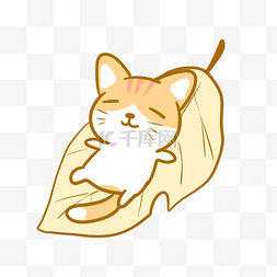 躺在落叶上的橘猫