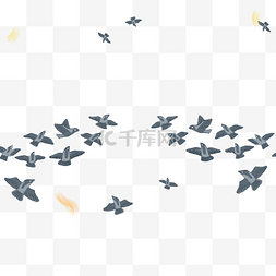 喜鹊群图片_天上飞着一群漂亮的喜鹊