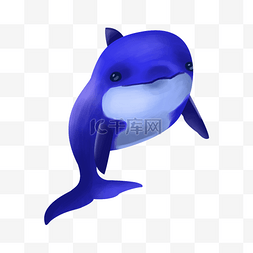 海豚抠图图片_蓝色微笑海豚