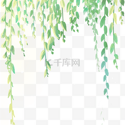 夏日藤蔓图片_卡通绿色的柳树