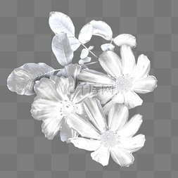 银色植物花朵