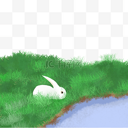 绿色河边图片_绿色草丛中的兔子元素