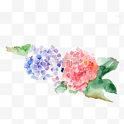 绣球花紫色水红花卉花朵PNG