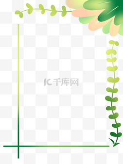 植物藤曼装饰边框纹理